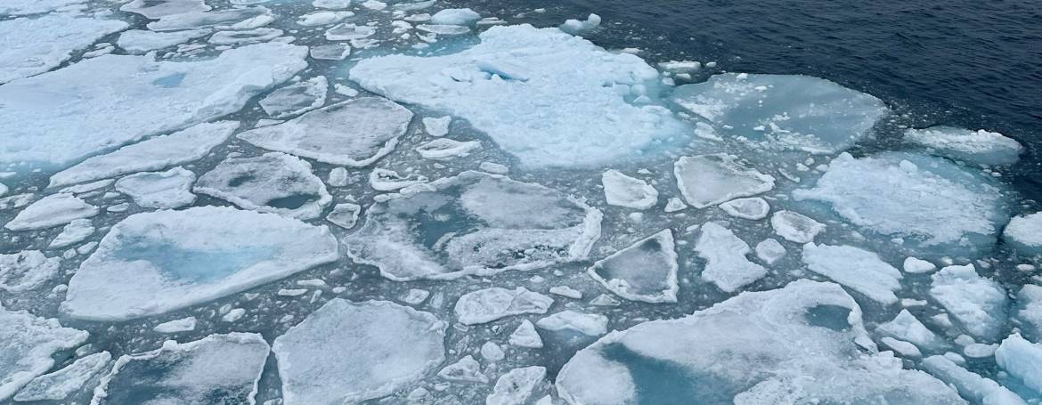 Speechless in Svalbard: Losing and Finding My Arctic Lexicon